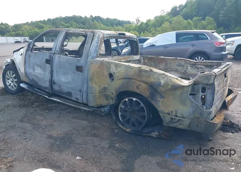 2009 Ford F-150 Fx4/King Ranch/Lariat/Platinum/Xl/Xlt z USA, uszkodzony, nr VIN 1FTPW14V79KB06357